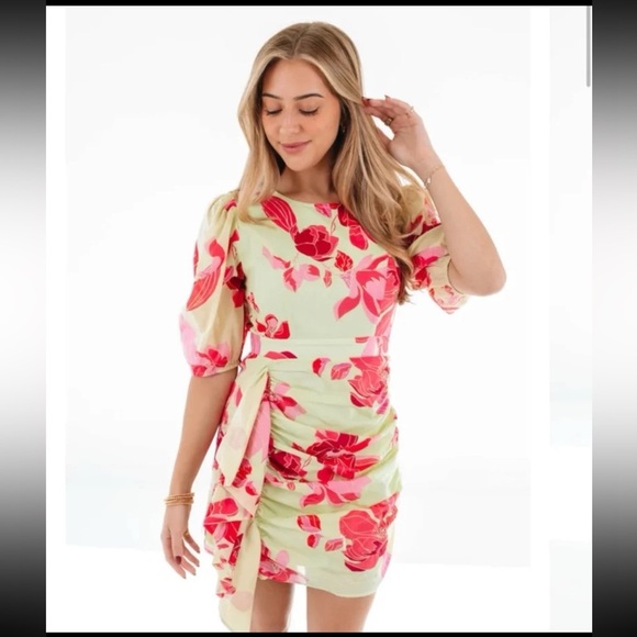 NWT J. Marie The Alara Puff Sleeve Ruched Dress 
size Medium - Picture 3 of 12